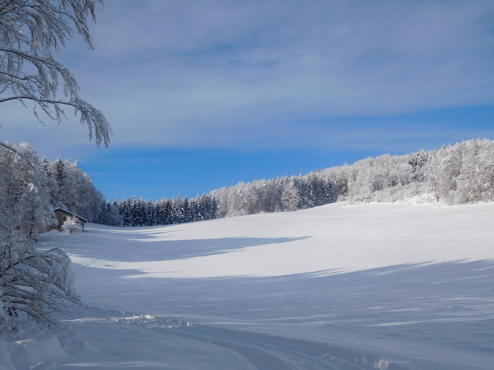 Neige4