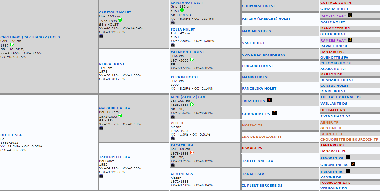 Pedigree quessel webpedigrees