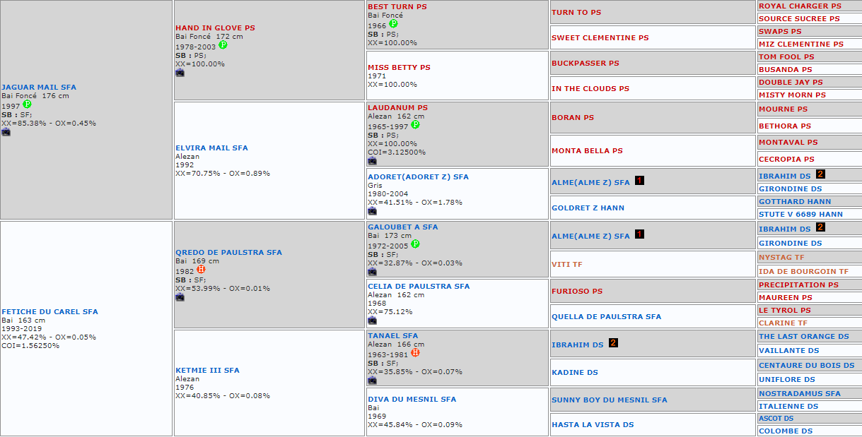 Pedigrees tenaroa webpedigrees