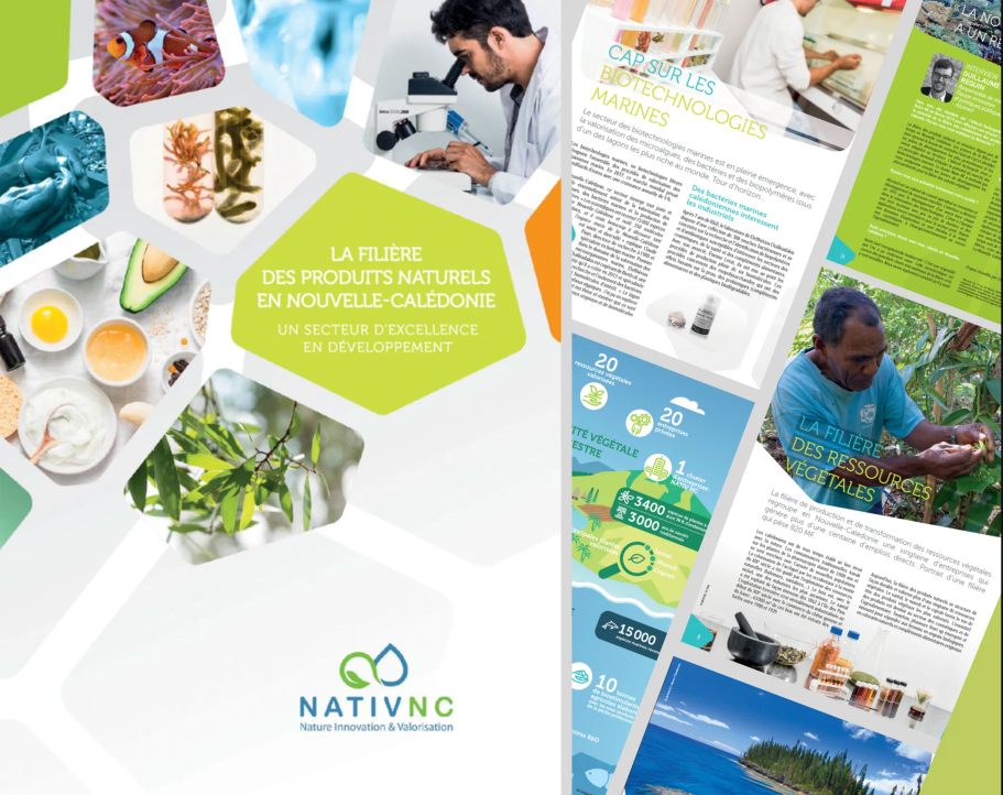 [Nouveauté] Brochure sur la filière des produits naturels en Nouvelle-Calédonie