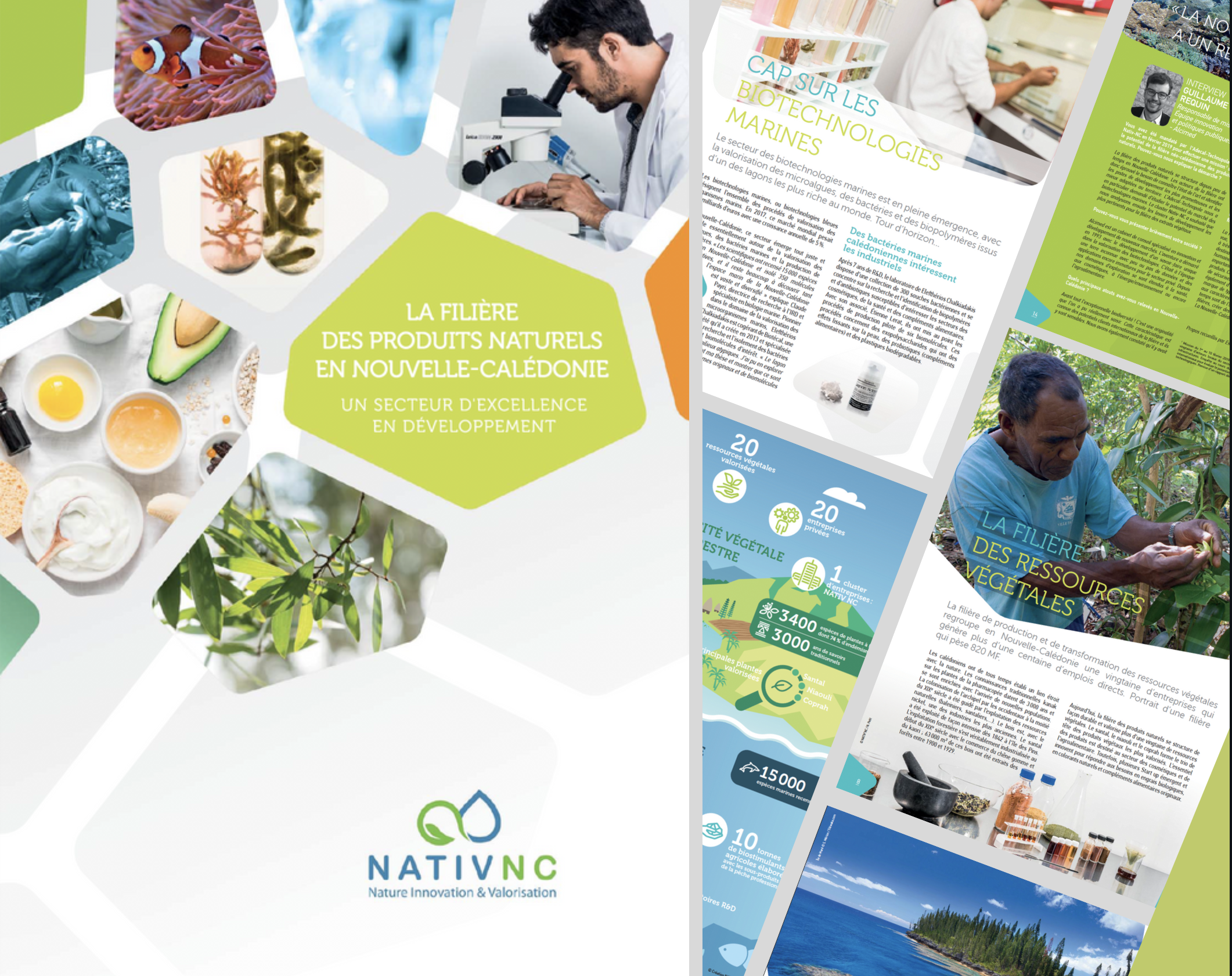 [Nouveauté] Brochure sur la filière des produits naturels en Nouvelle-Calédonie