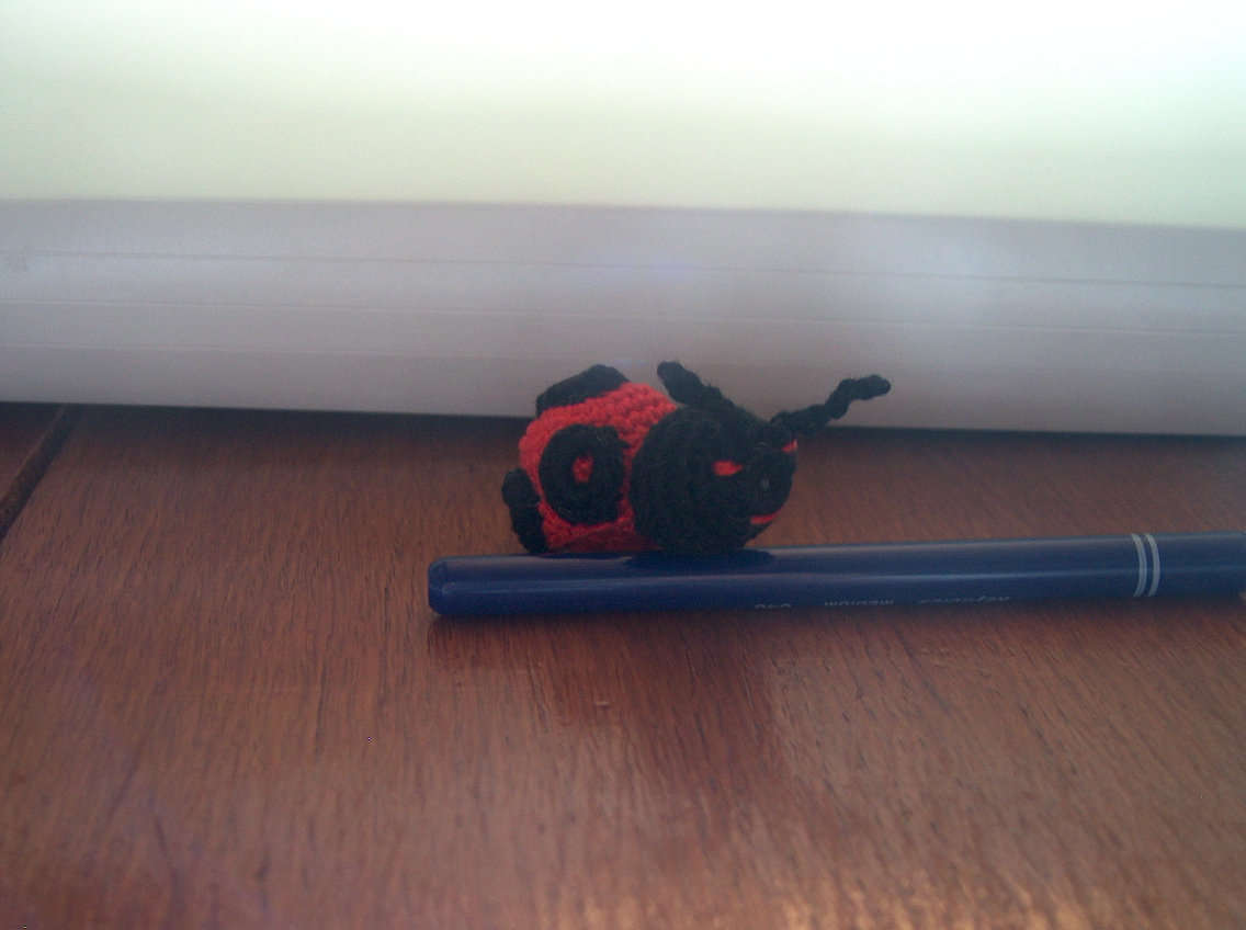 Coccinelle-crochet