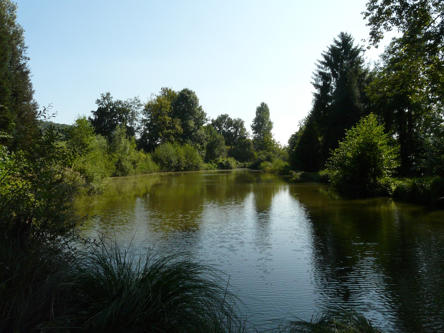 étang du gîte de La Quincy près de Soissons