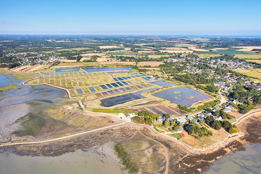 Marais salants saint armel
