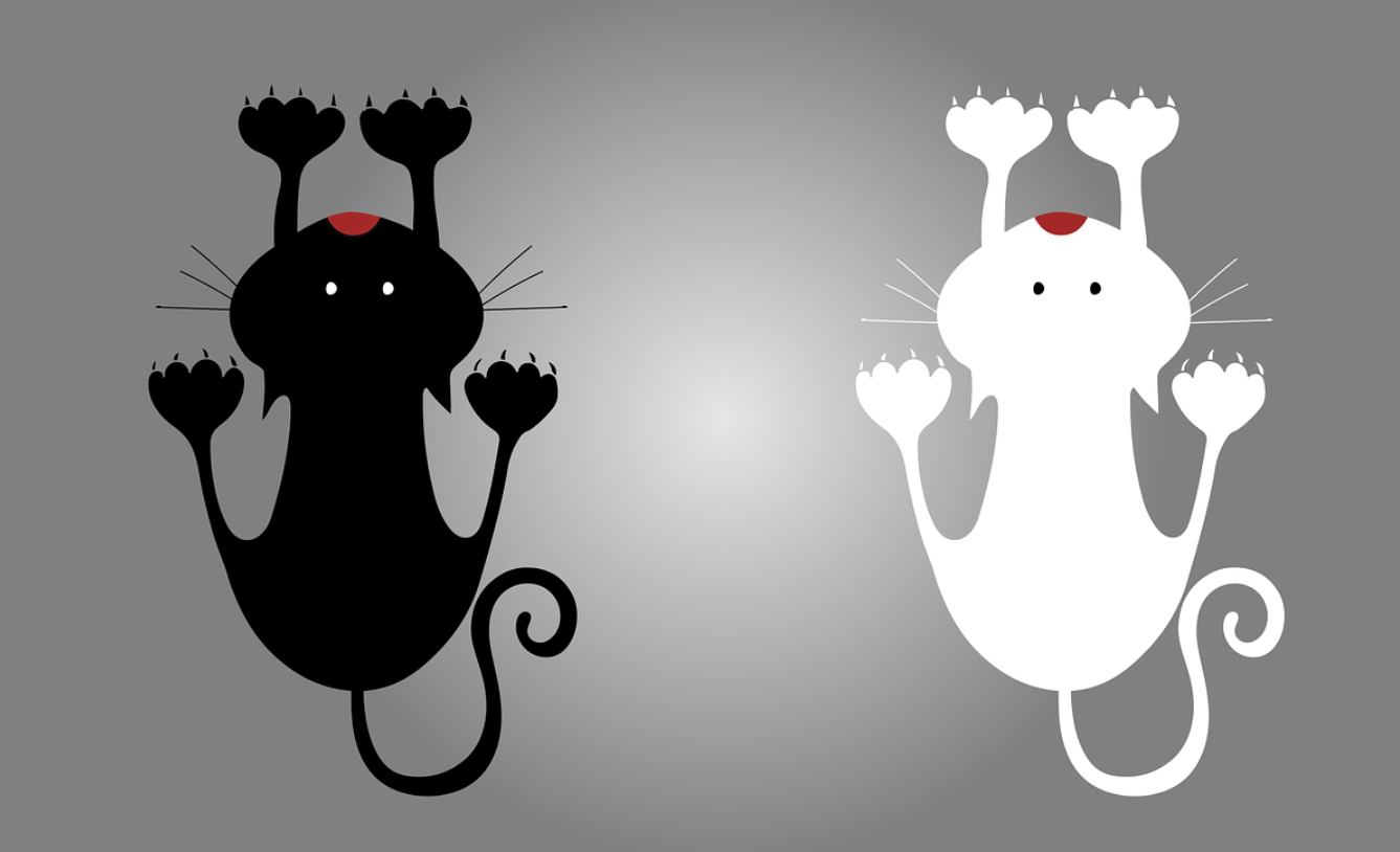 Fond-chat-2