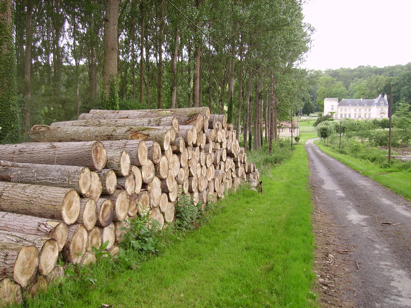 En route vers le gîte de La Quincy à Nanteuil-la-Fosse 
