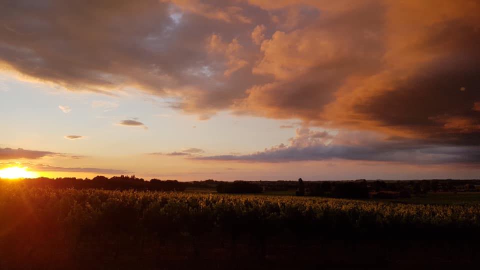 Coucher de soleil a la pimpinelle