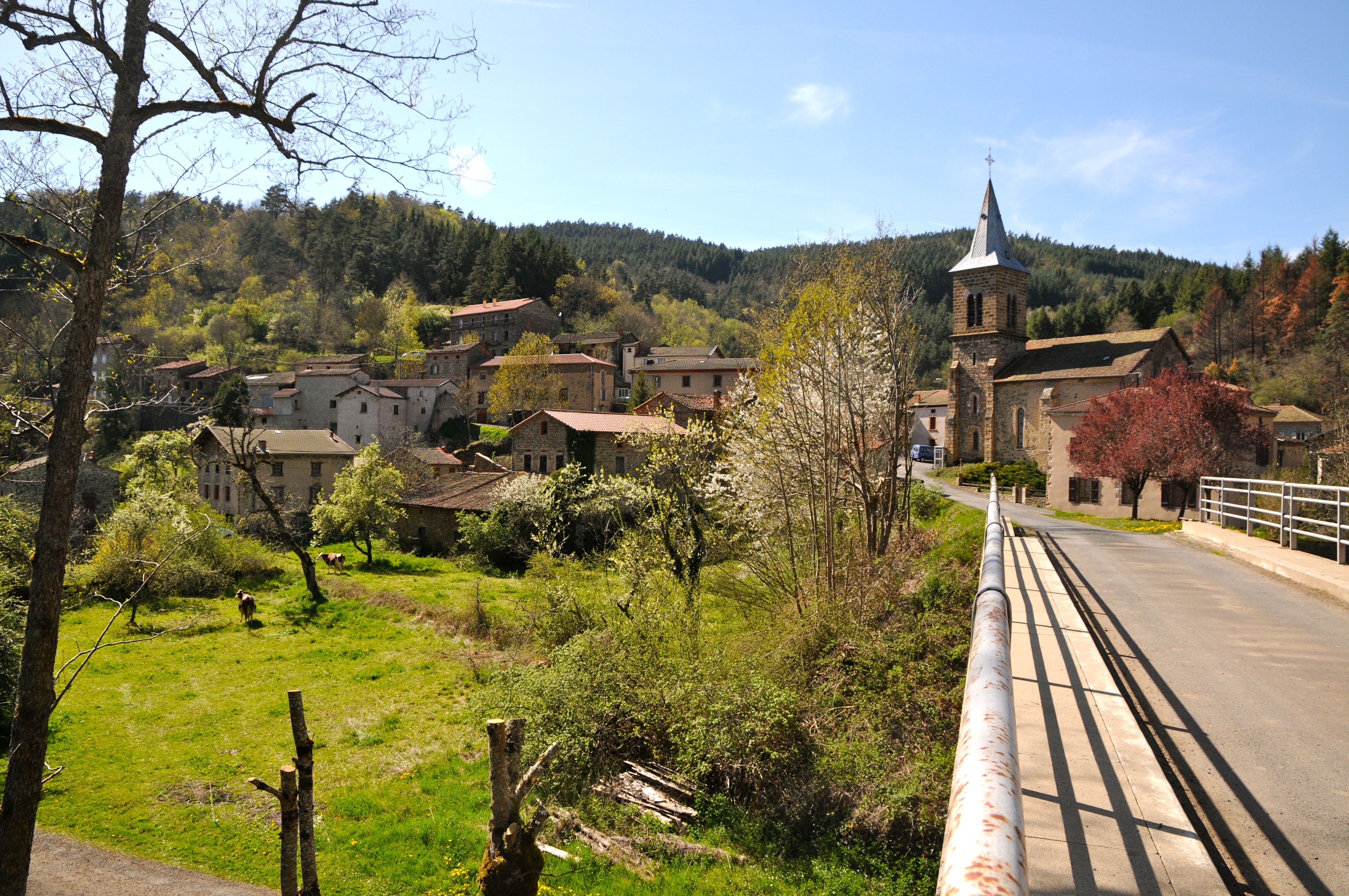 Dsc 2712 copie