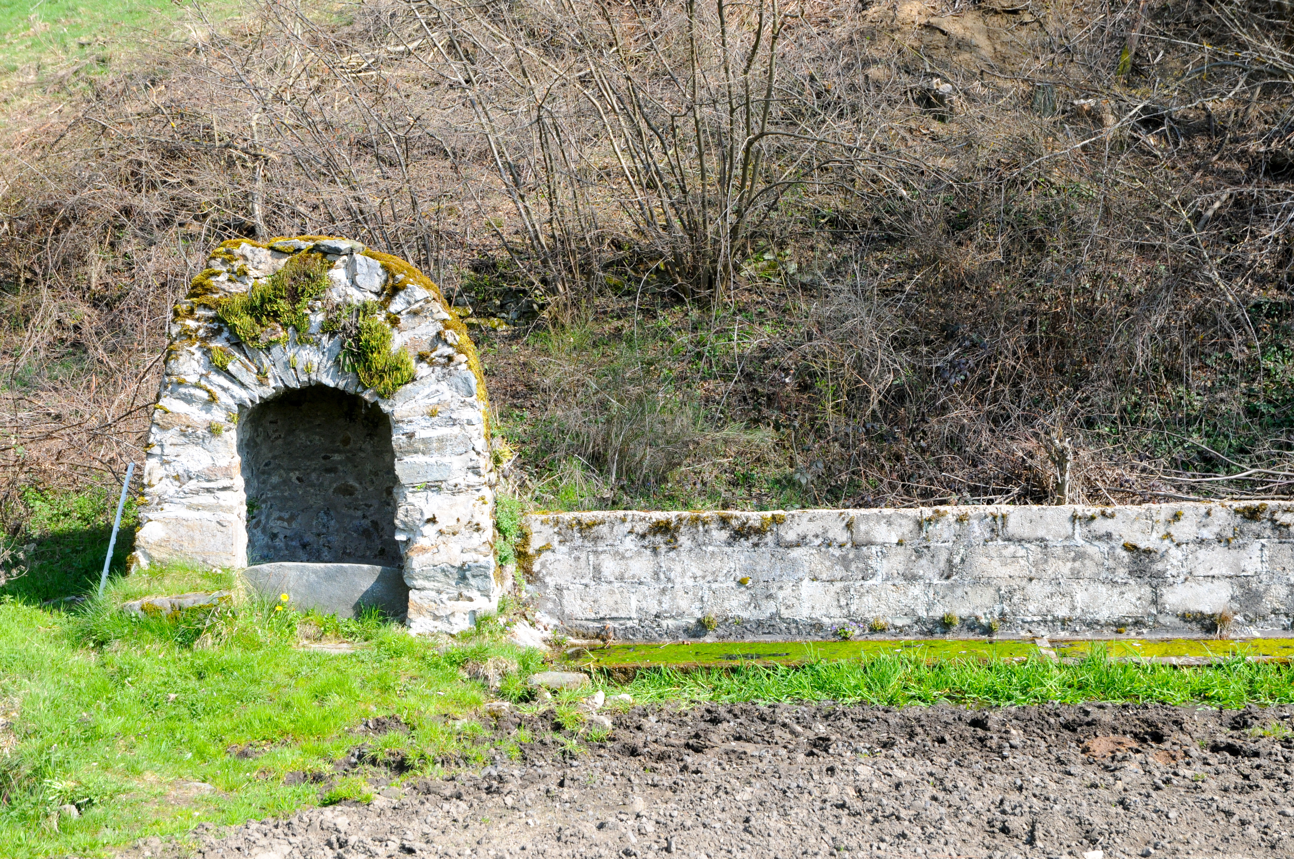 Dsc 2613 copie