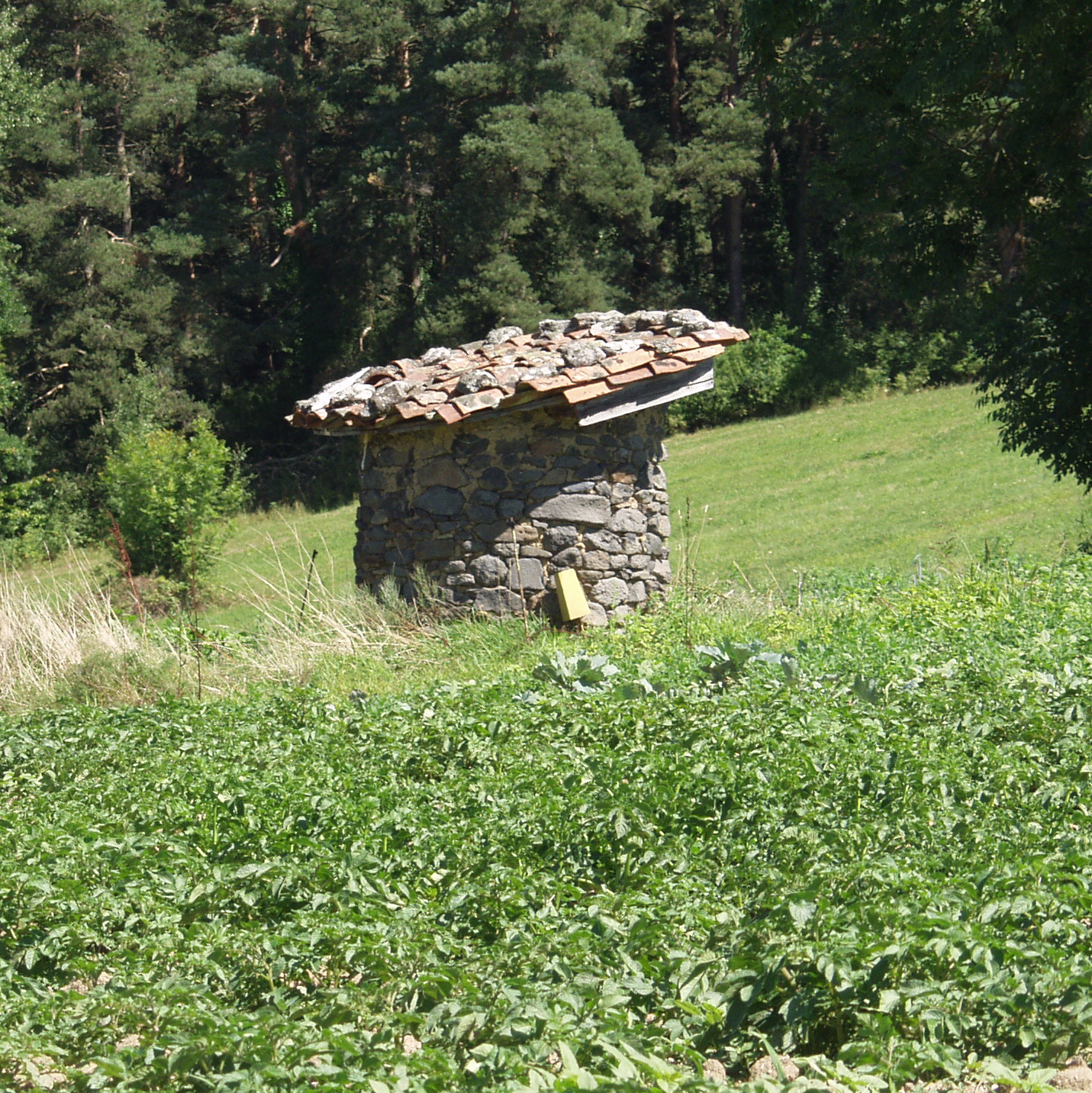 P8040024