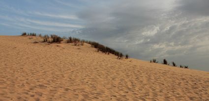 Dune you pilat 2050670 1920