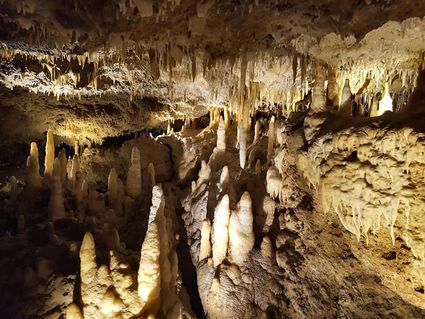 Visite famille grottes de fontirou lot garonne