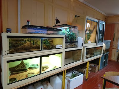 Dsc 0031