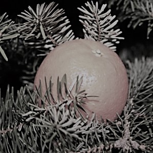 Bourgnac en décembre
