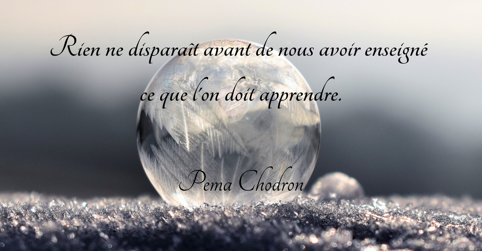 citation destin, citation pema chodron francais