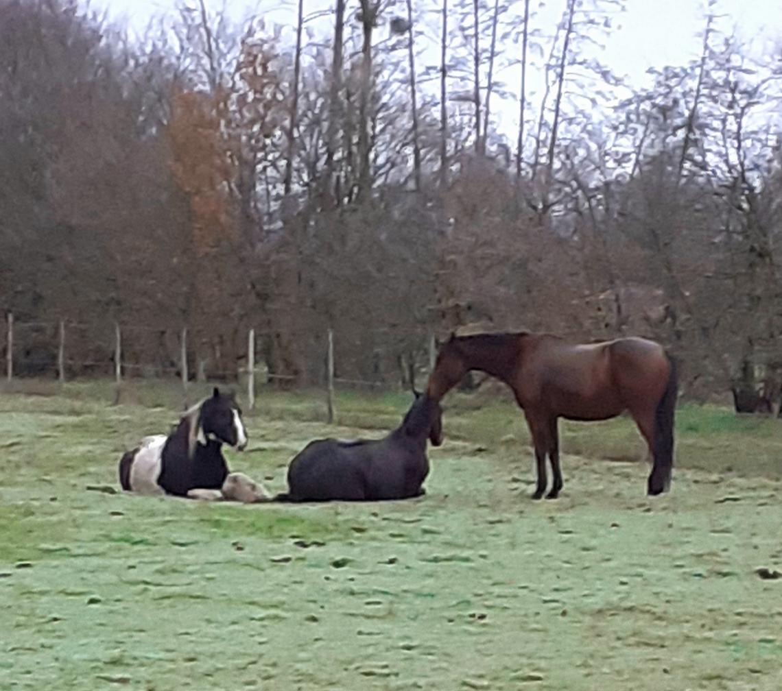 20201210 172631 matin calme reunion tupperware r