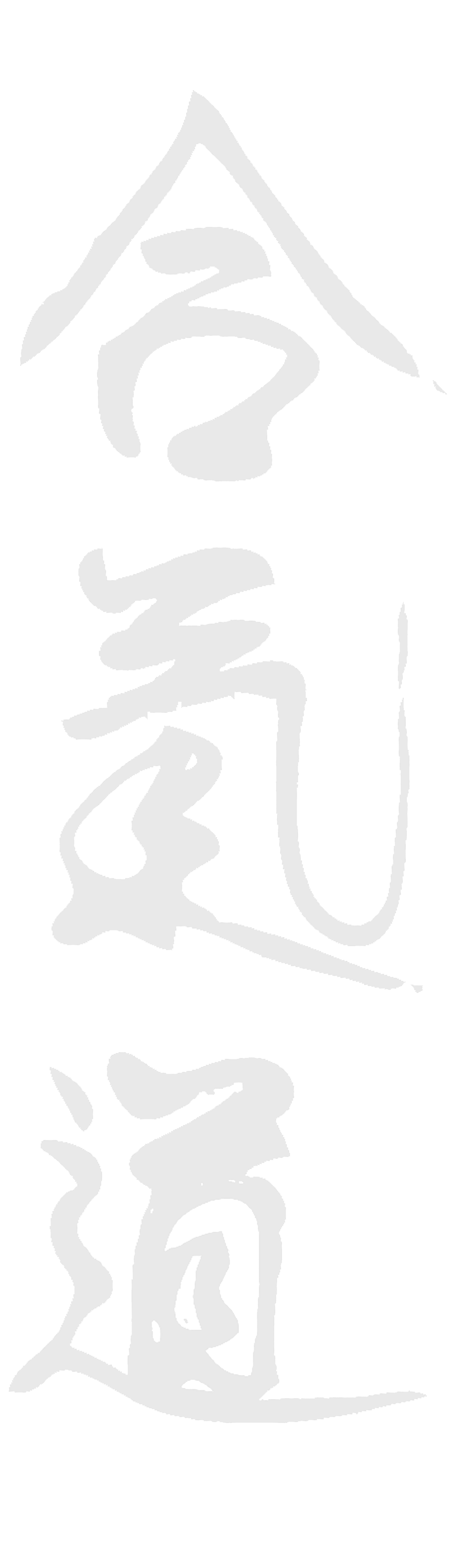 Kanji-aikido-capdenac