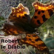 Robert-le-diable-Select