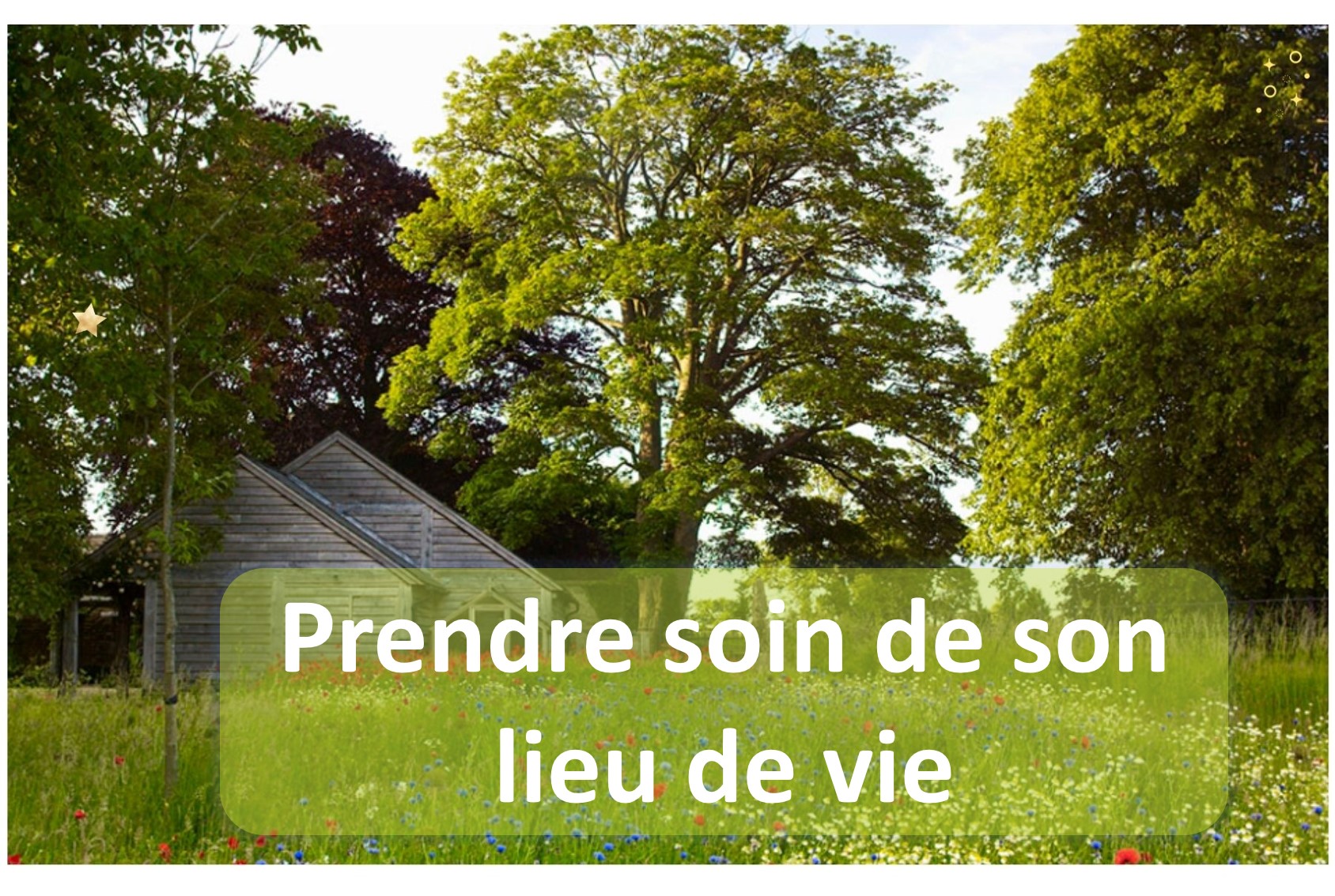 Prendre-soin-de-son-lieu-de-vie-4
