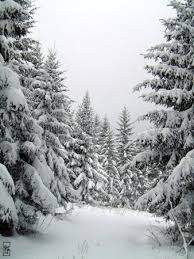 Vacances de Noël 