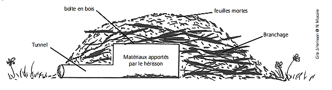 Abri-solide-herisson-image-LPO