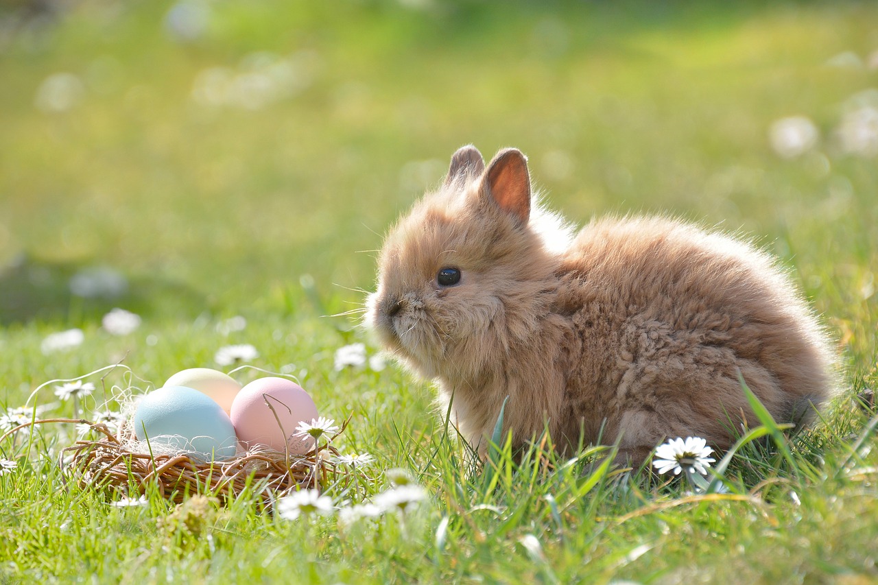 Easter-2197043 1280