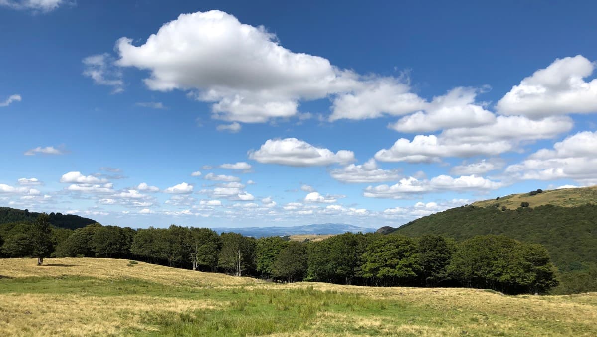 6 le sancy