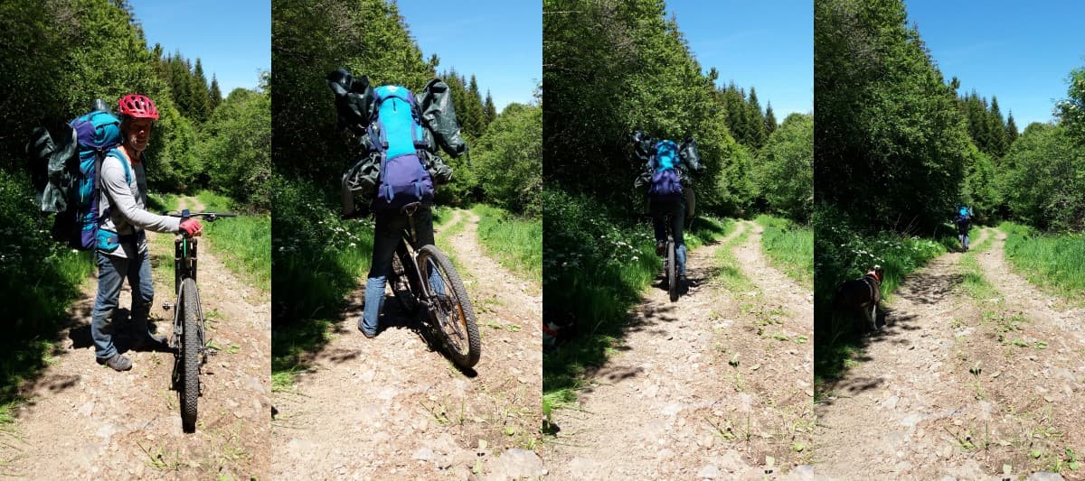14 recolte ail frais a vtt