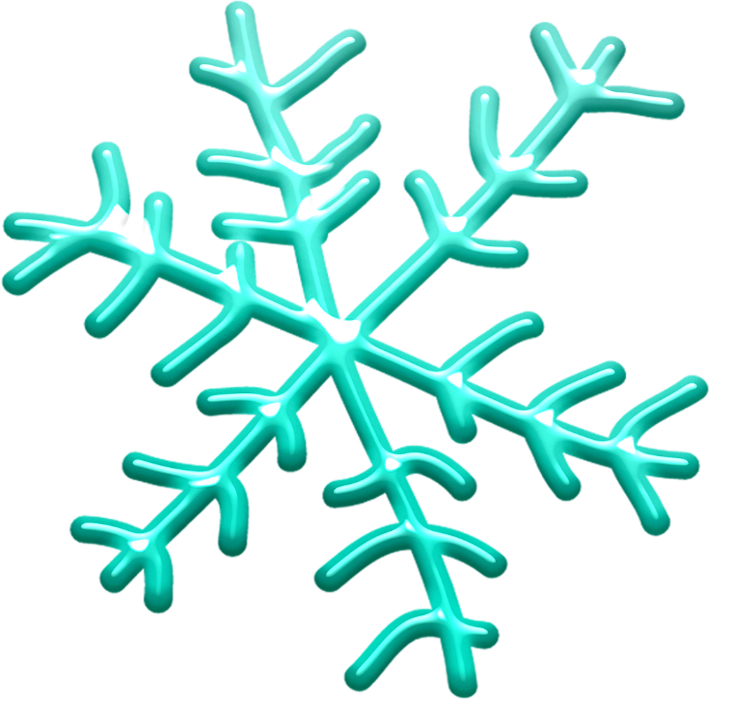 Flocon-de-neige-snowflakes