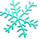 Flocon-de-neige-snowflakes