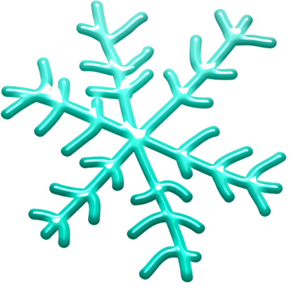 Flocon-de-neige-snowflakes
