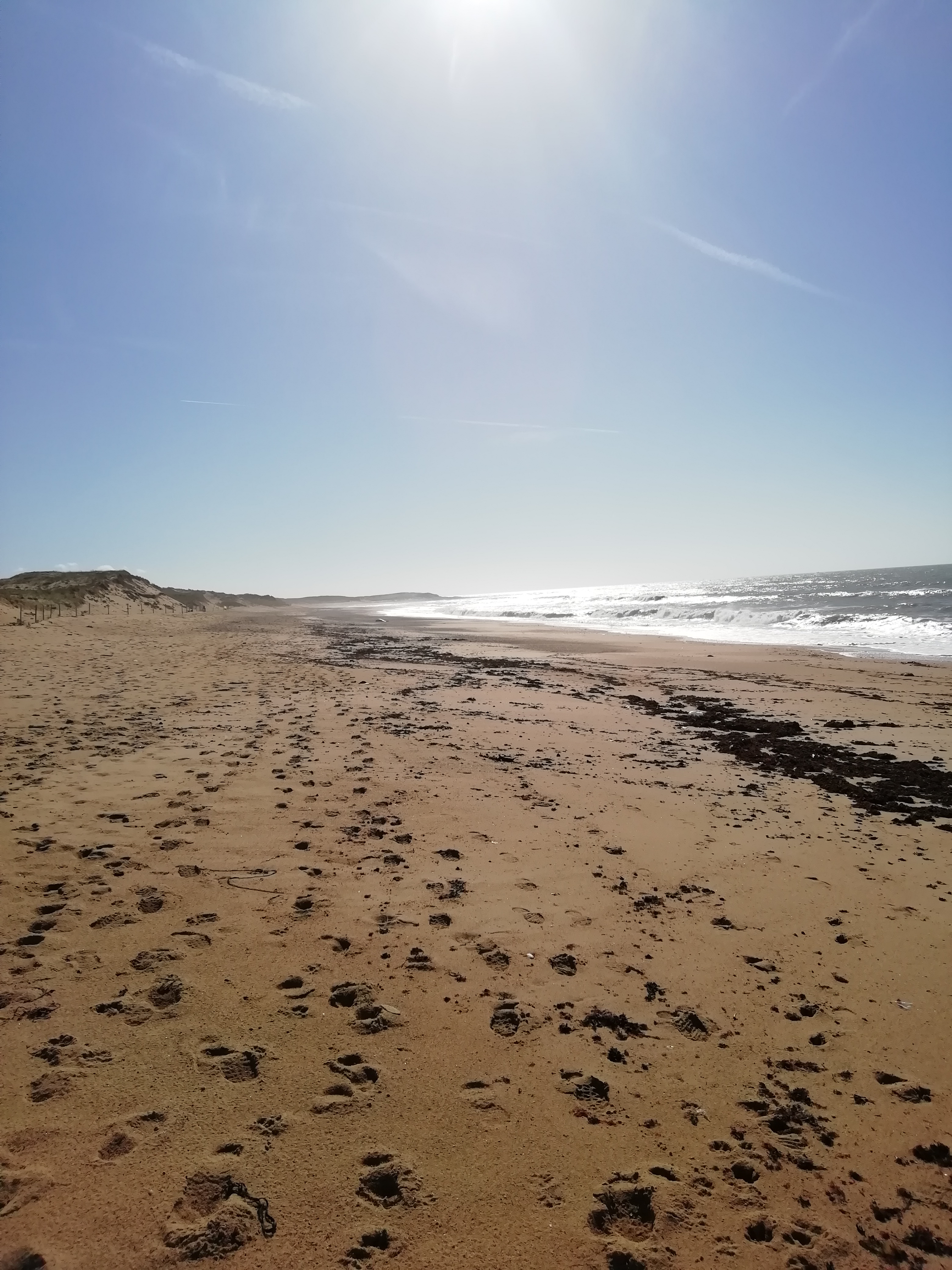 Le-gite-de-la-Joubretiere-Vendee-plage-3