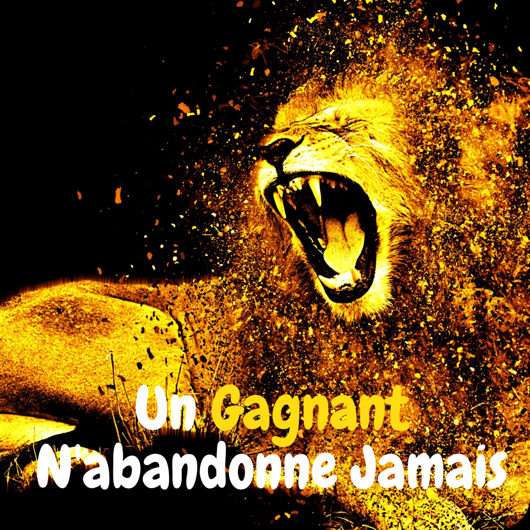 Un gagnant n abandonne