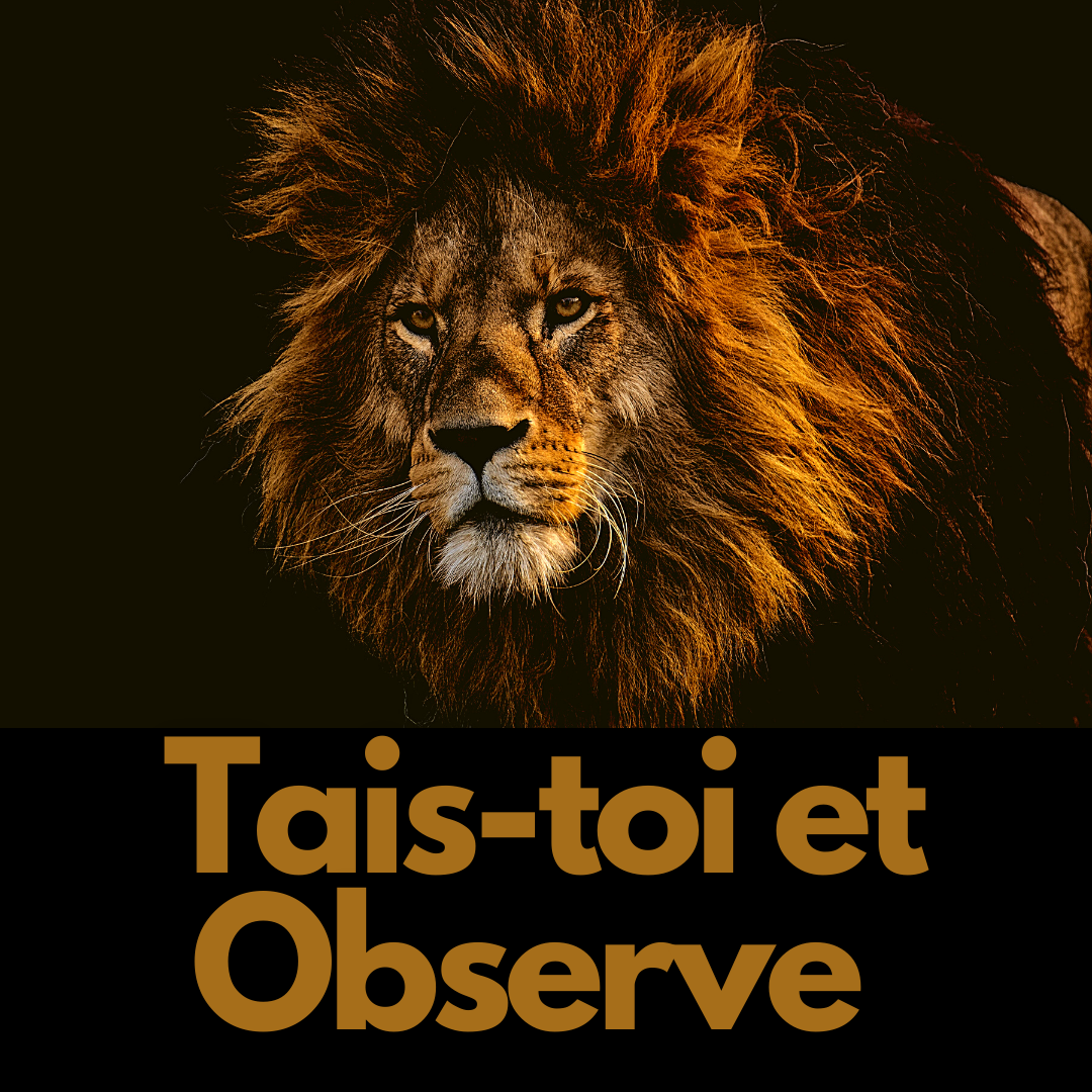 Tais toi et observe