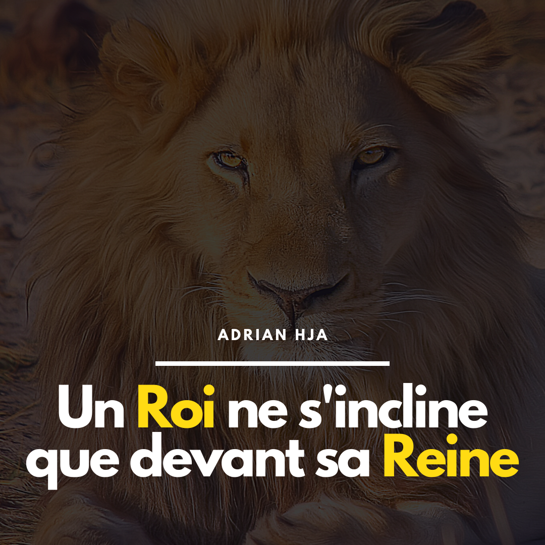 Noir ete soldes instagram publication