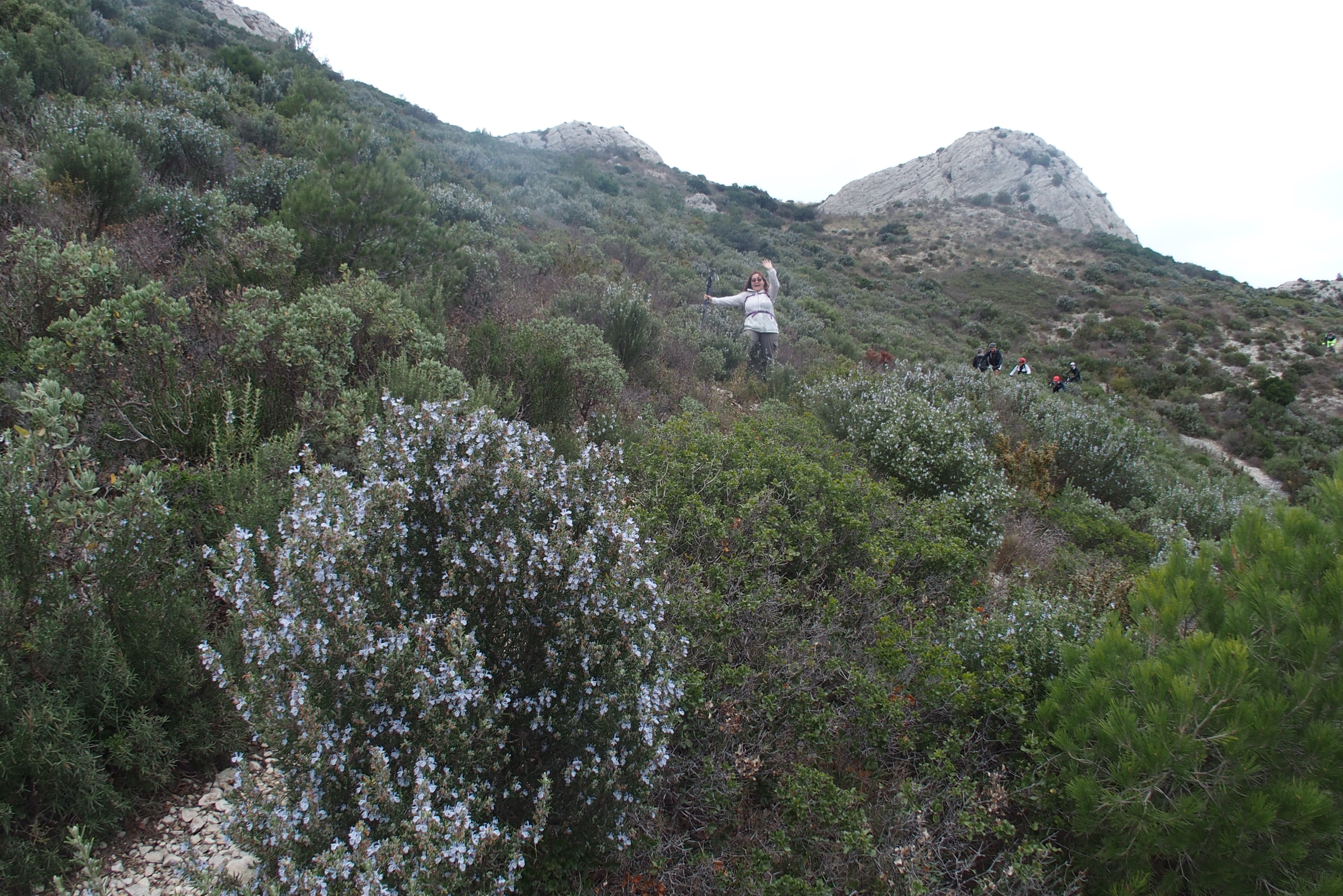 Grands-Calans-des-Alpilles-20-12-2020-15-