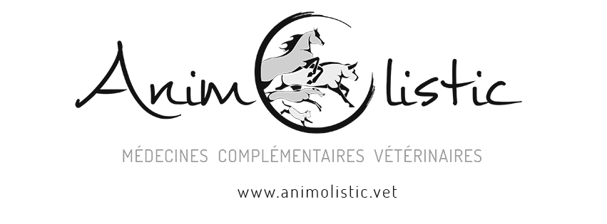 Animolistic