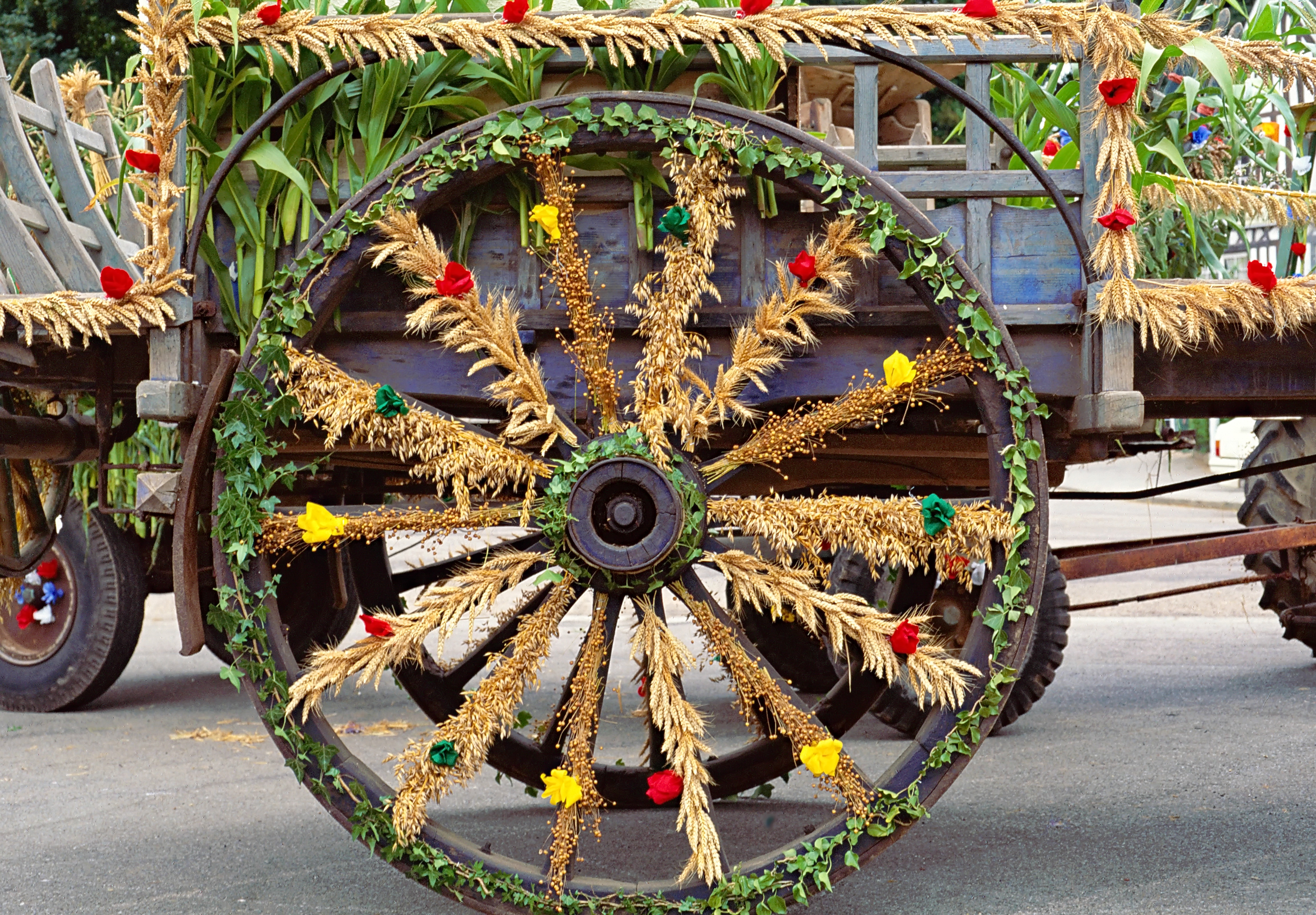 Roue-de-chariot-fleuri-Fete-moisson-Berville