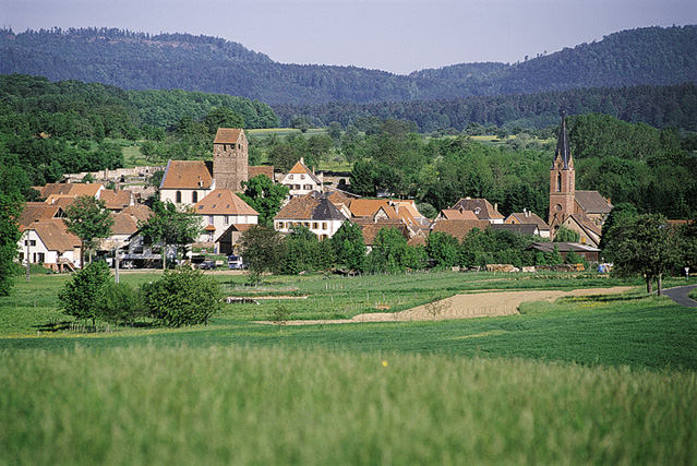 Allenw