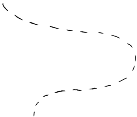 Ziguigui3