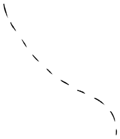 Ziguigui4