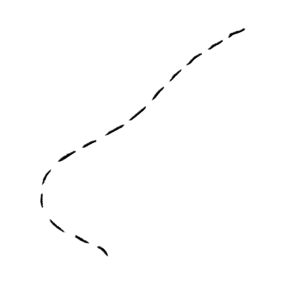 Ziguigui6