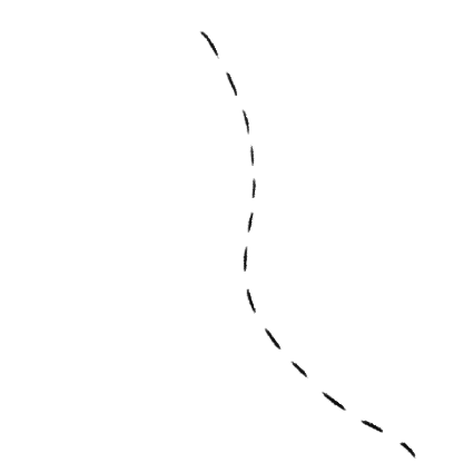 Ziguigui5