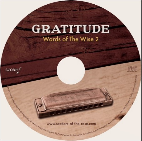 Photo-galette-Front-WOTW2