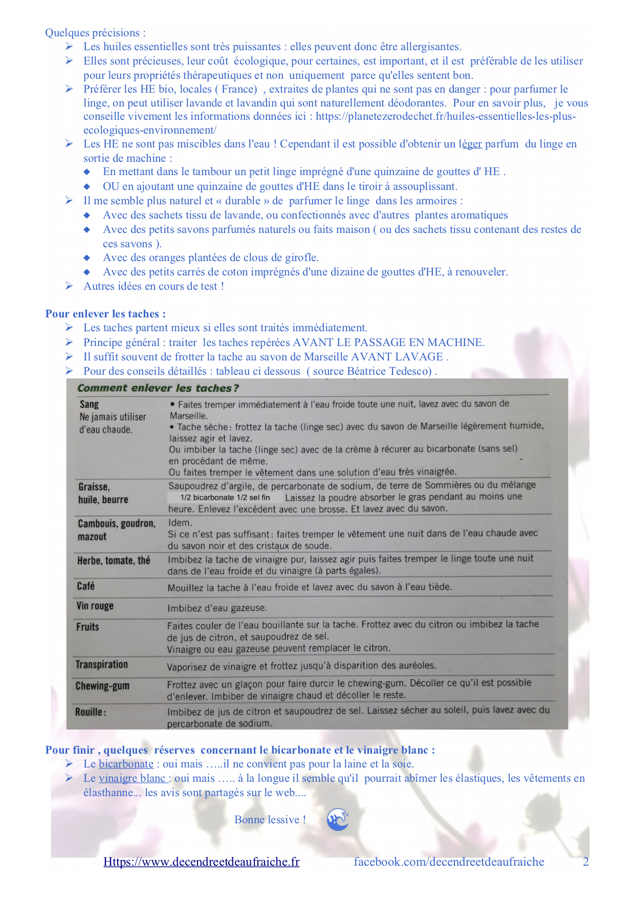 P2-Astuces-lavage-l-De-Cendre-et-d-Eau-Fraiche-