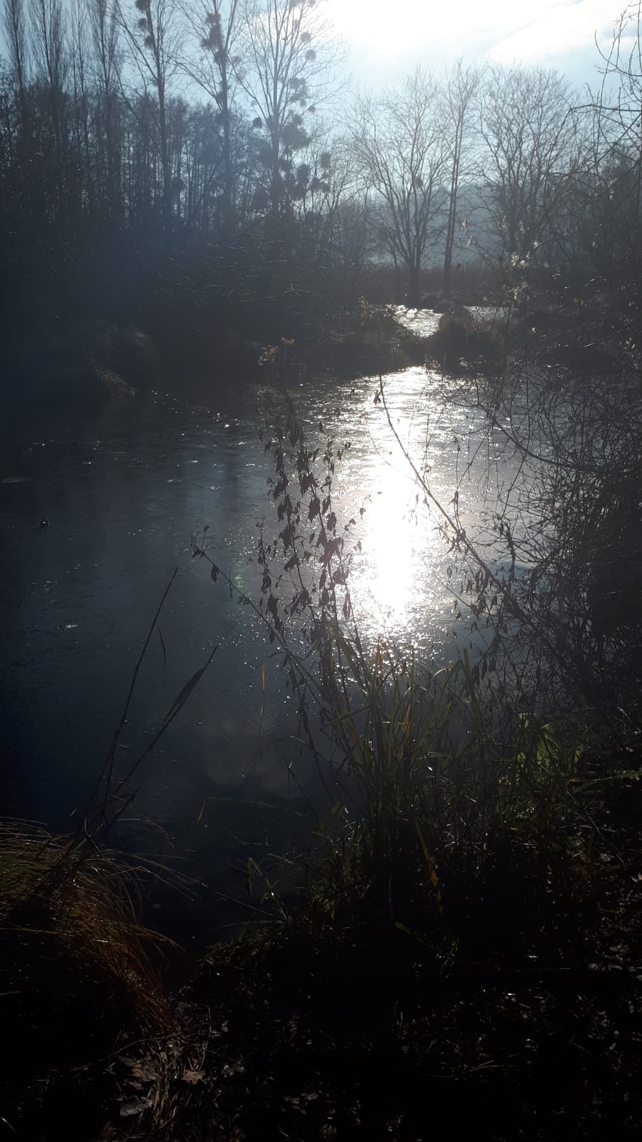 Img 20210102 wa0005