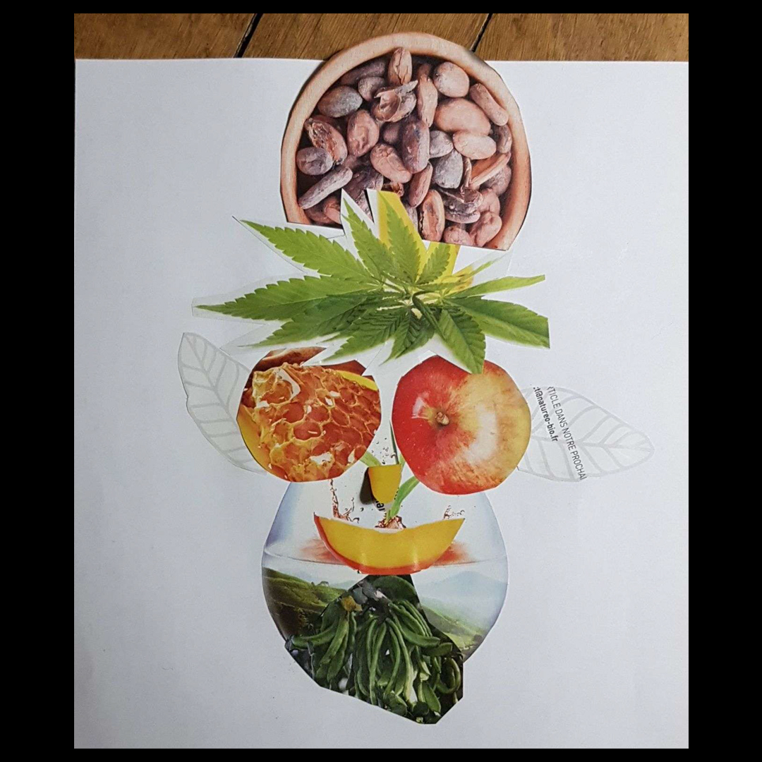 Amelie robin arcimboldo