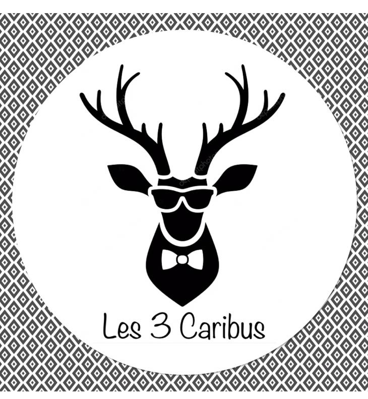 Logo-L3C