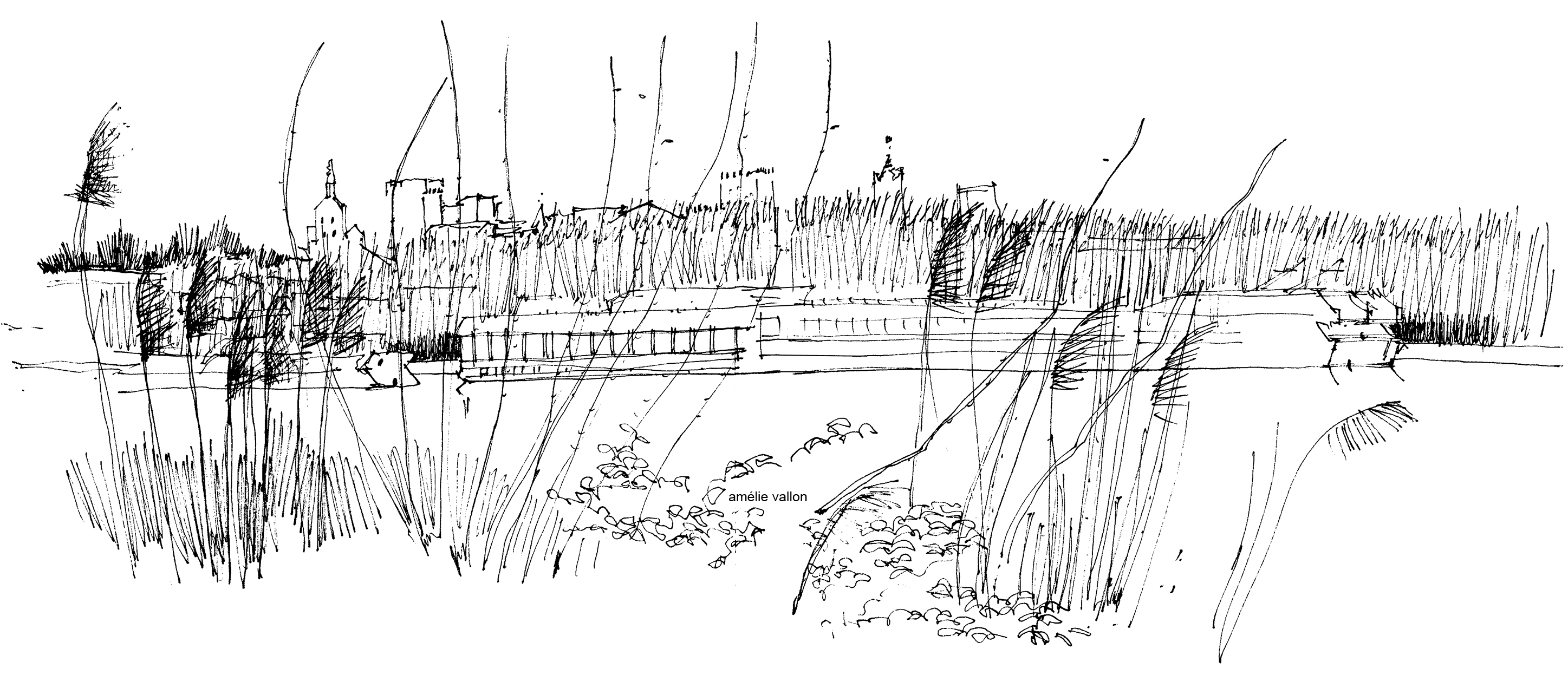 Av21 dessin ile piot