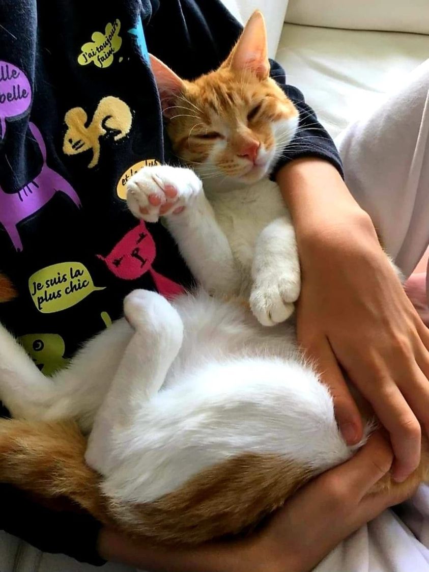 Tigrou